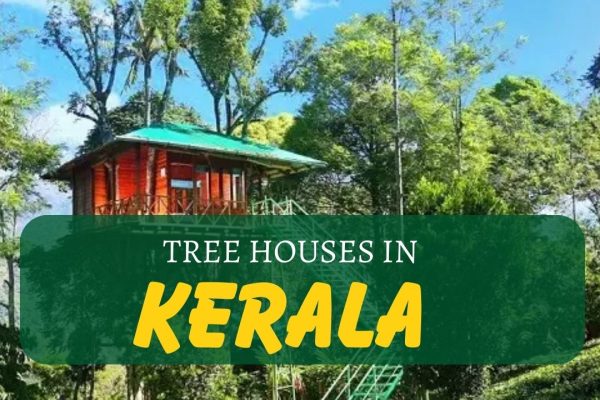 Tree Houses in kerala