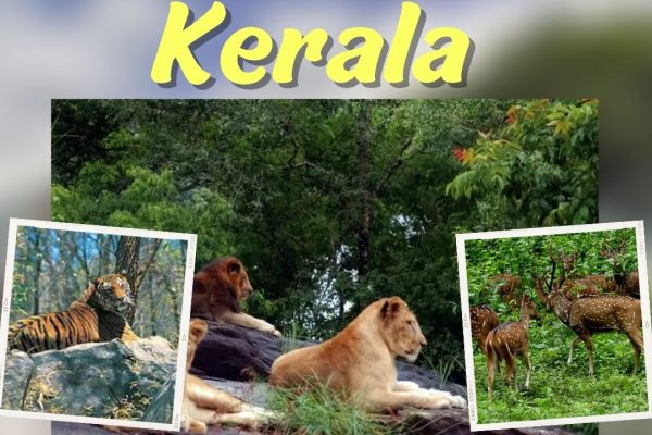 wildlife sanctuaries of Kerala