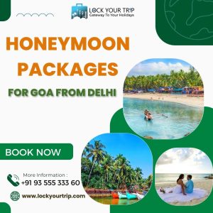 honeymoon packages for goa from delhi