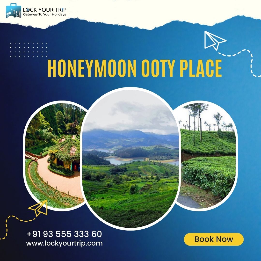ooty family package